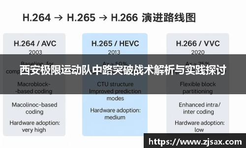星空·综合体育中国官网入口